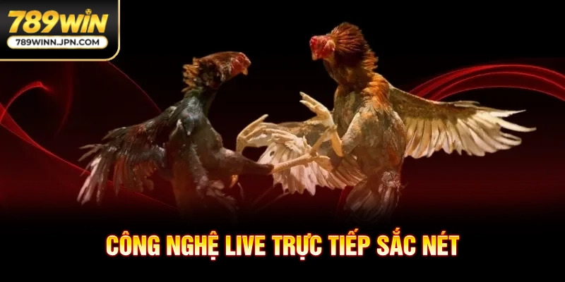 Công nghệ live trực tiếp sắc nét