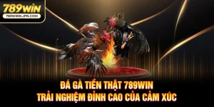 Đá Gà Tiền Thật 789Win - Trải Nghiệm Đỉnh Cao Của Cảm Xúc