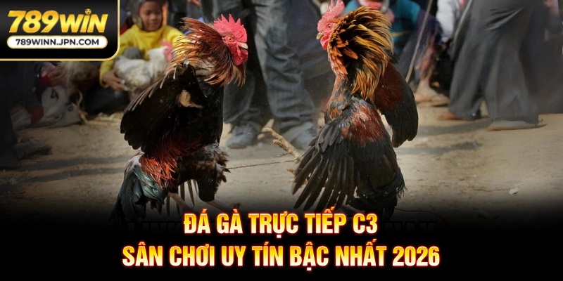 Đá gà trực tiếp C3 - Sân chơi uy tín bậc nhất 2026