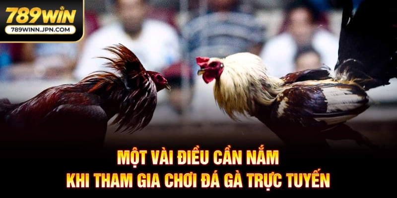 Một vài điều cần nắm khi tham gia chơi đá gà trực tuyến