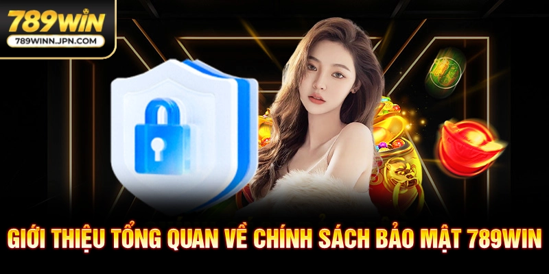 Giới thiệu tổng quan về chính sách bảo mật 789win